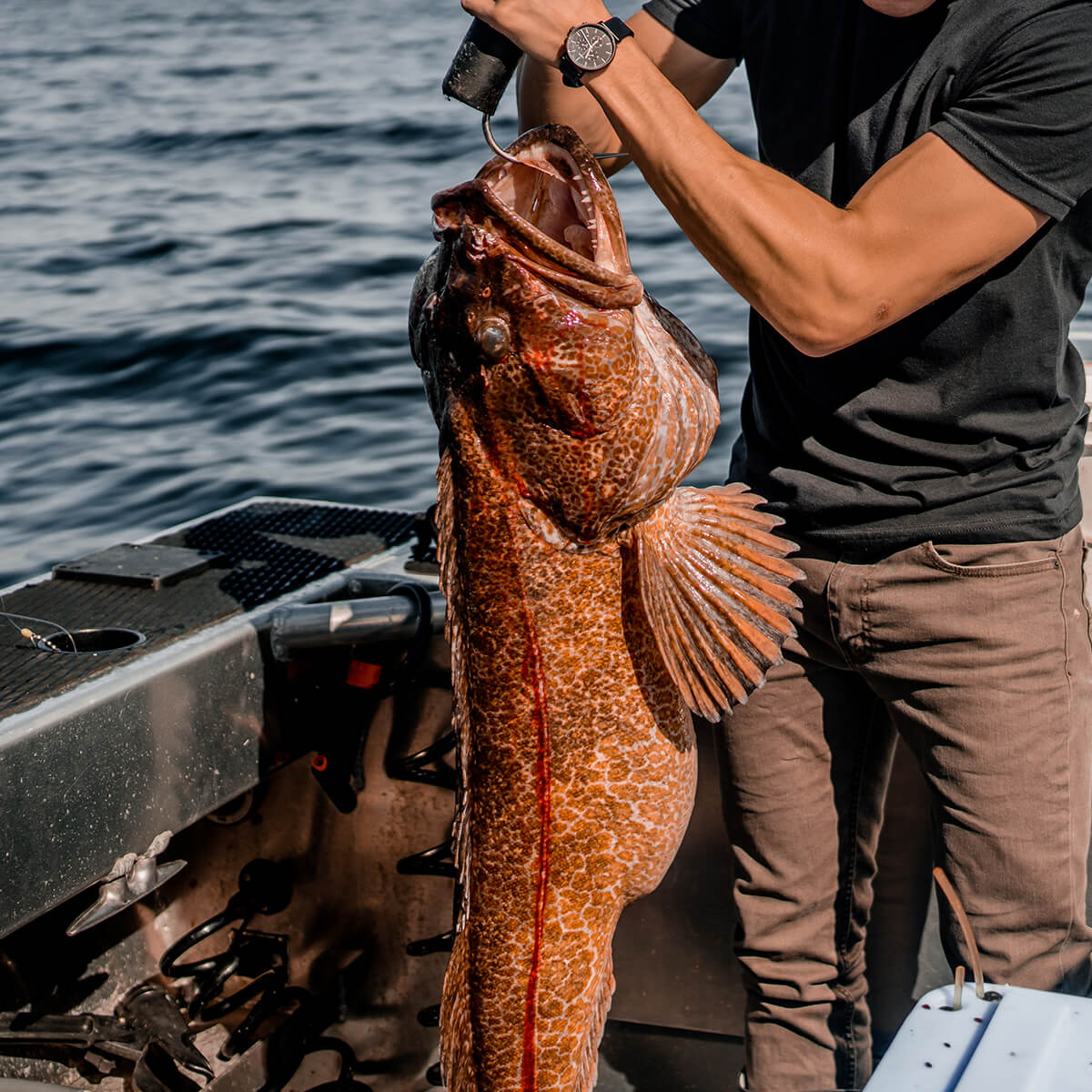 Lingcod at Salmon Falls Resort