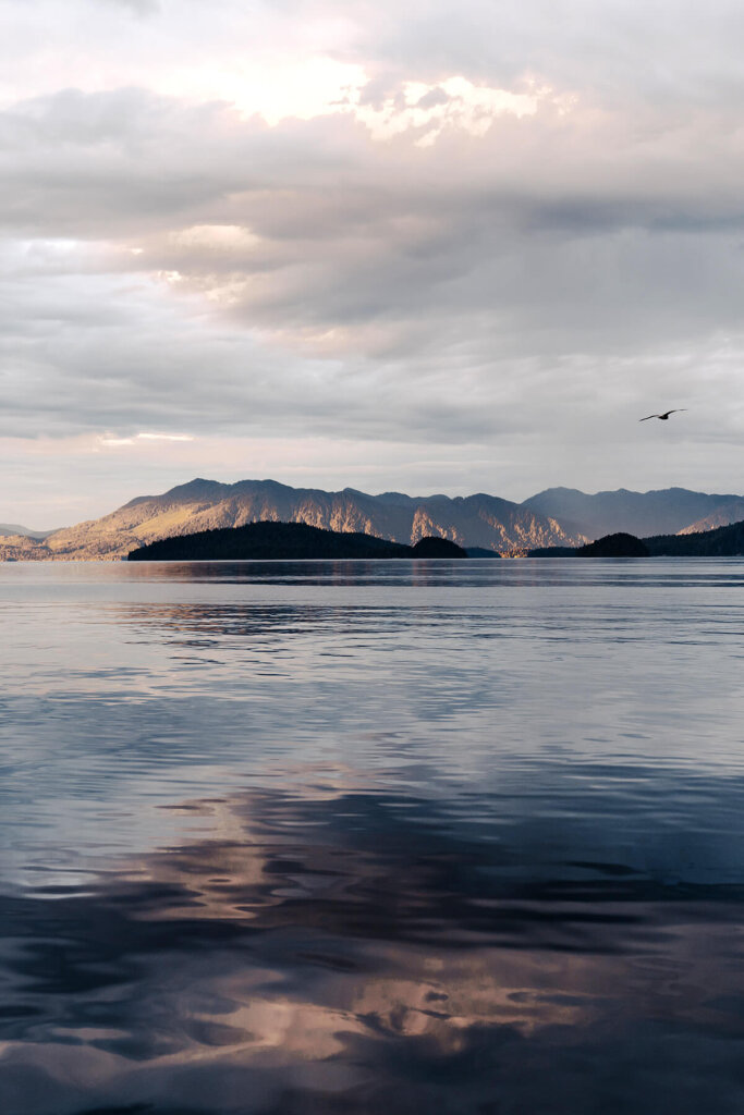 Salmon Falls View of Alaska